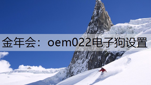 金年会：oem022电子狗设置