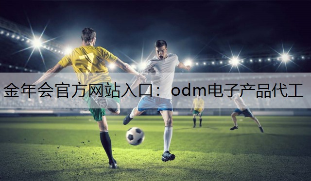 金年会官方网站入口：odm电子产品代工