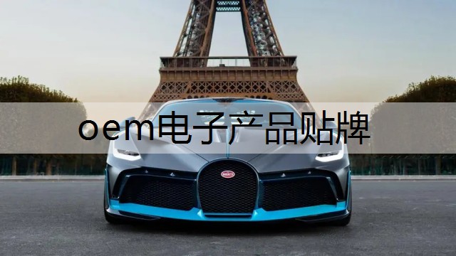 oem电子产品贴牌