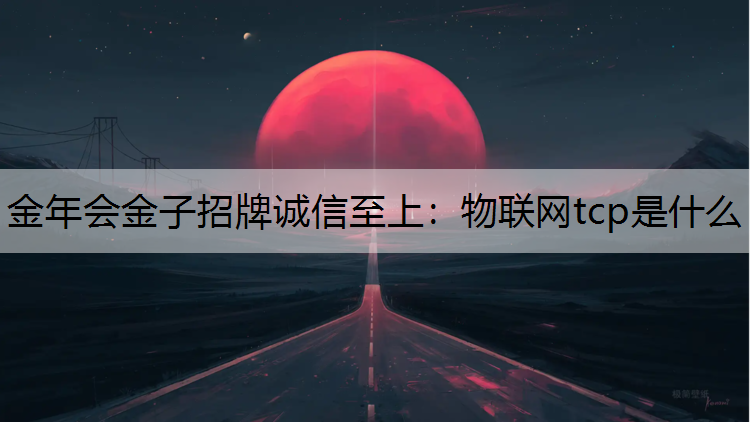 物联网tcp是什么